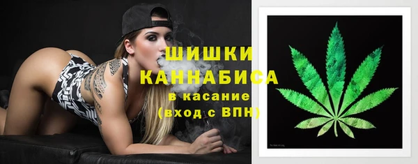 тгк Ладушкин