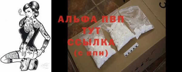 тгк Ладушкин
