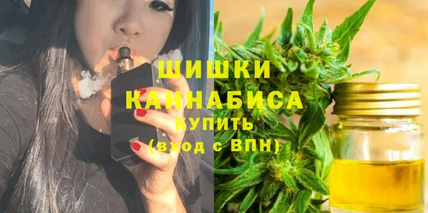 spice Лагань